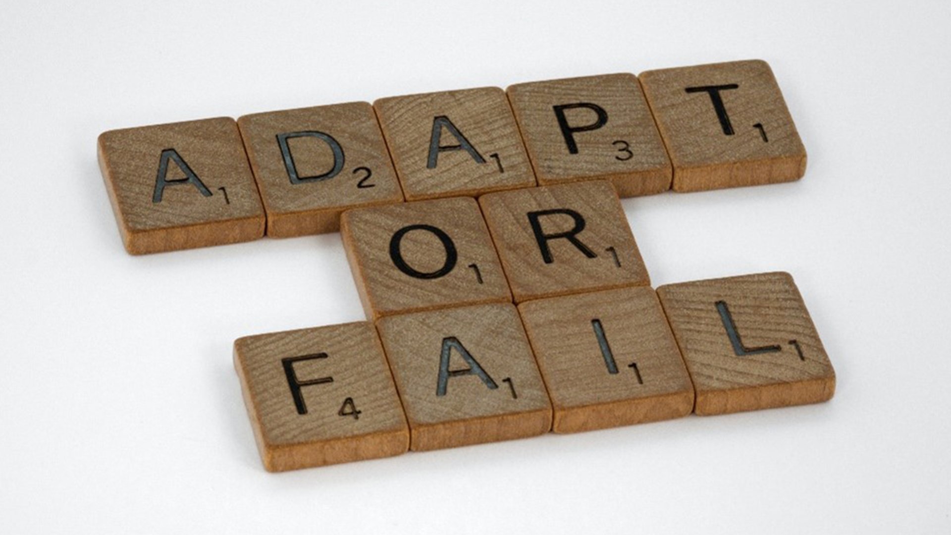 Scrabble tiles spelling 'Adapt or fail'