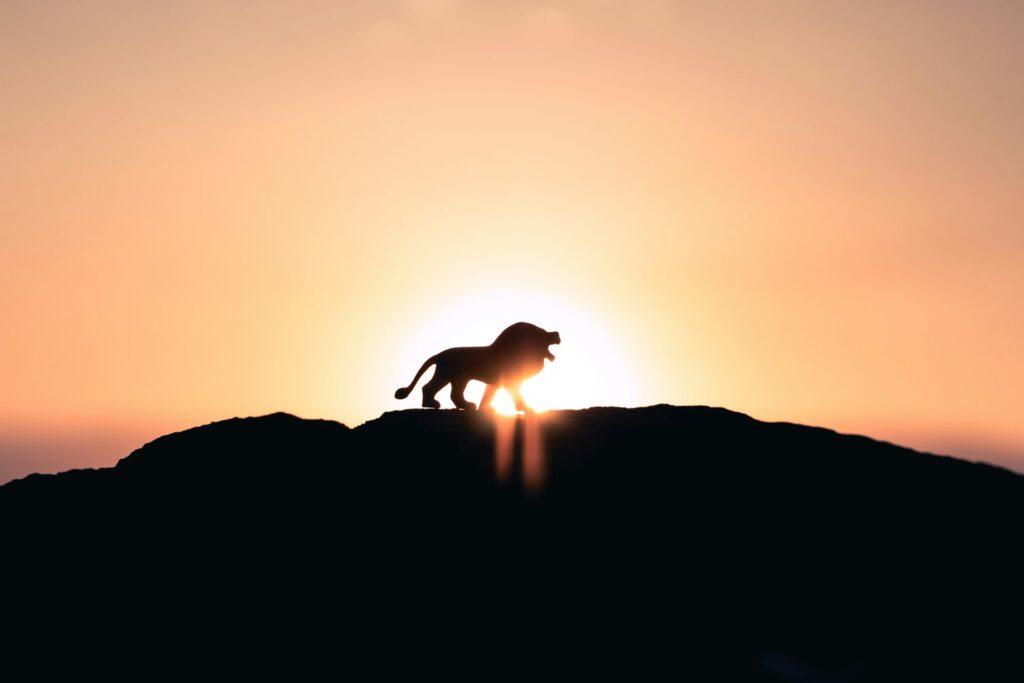 Silhouette of a lion on a hilltop at sunset, for Cannes Lions