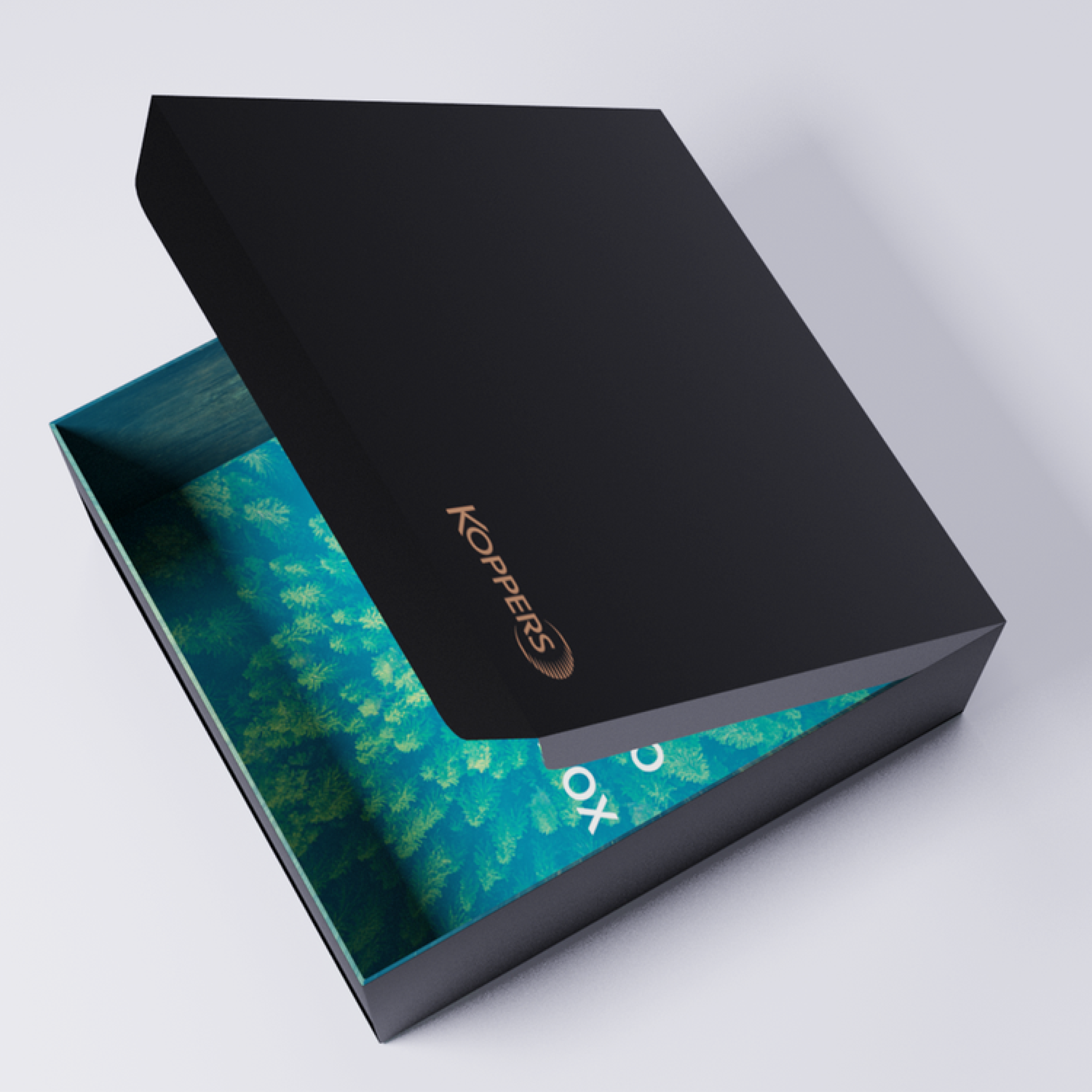 Koppers+-+inside+the+box+-+Image-1.1_1