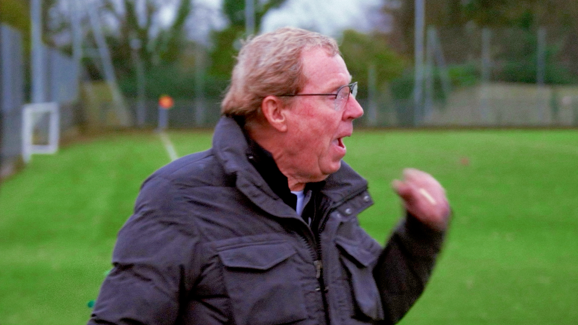 Harry Redknapp shouting instructions from the touchline